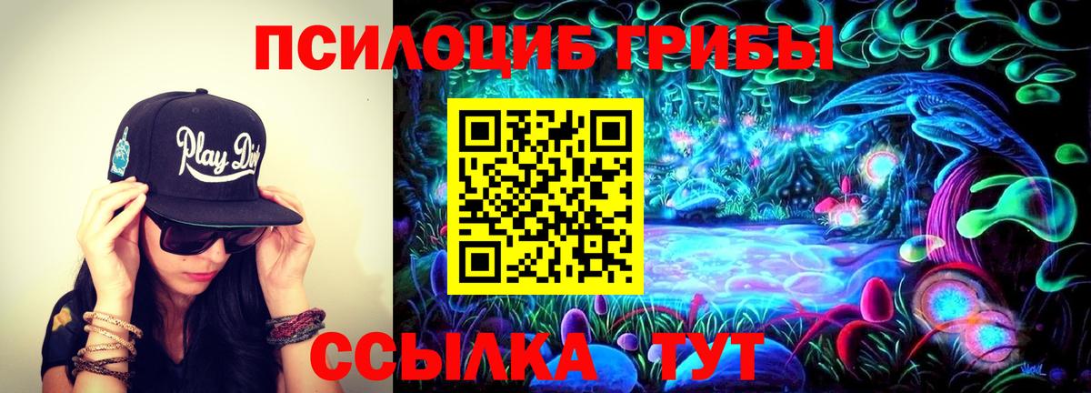 Псилоцибиновые грибы GOLDEN TEACHER  Галлюциногенные грибы прущие грибы  Иркутск 