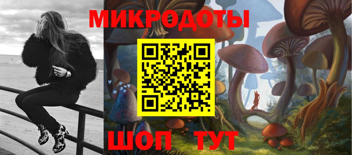 Галлюциногенные грибы GOLDEN TEACHER  Вход с VPN  купить наркотики сайты  Иркутск  Псилоцибиновые грибы Psilocybe 